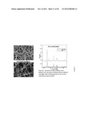 METAL AND CERAMIC NANOFIBERS diagram and image