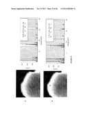 METAL AND CERAMIC NANOFIBERS diagram and image