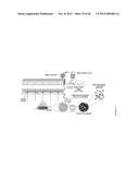 METAL AND CERAMIC NANOFIBERS diagram and image