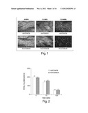 Compositions and Methods for Tissue Preservation diagram and image