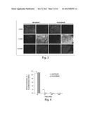 Compositions and Methods for Tissue Preservation diagram and image