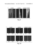 Compositions and Methods for Tissue Preservation diagram and image