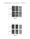 Compositions and Methods for Tissue Preservation diagram and image