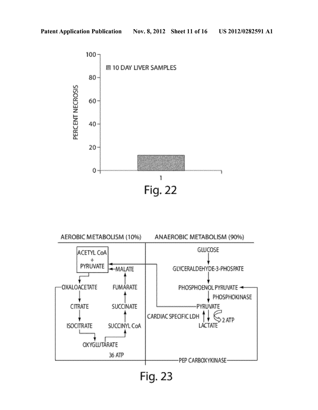 Compositions and Methods for Tissue Preservation - diagram, schematic, and image 12