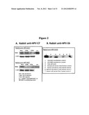 HIGH THROUGHPUT CELL-BASED HPV IMMUNOASSAYS FOR DIAGNOSIS AND SCREENING OF     HPV-ASSOCIATED CANCERS diagram and image