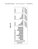 HIGH THROUGHPUT CELL-BASED HPV IMMUNOASSAYS FOR DIAGNOSIS AND SCREENING OF     HPV-ASSOCIATED CANCERS diagram and image