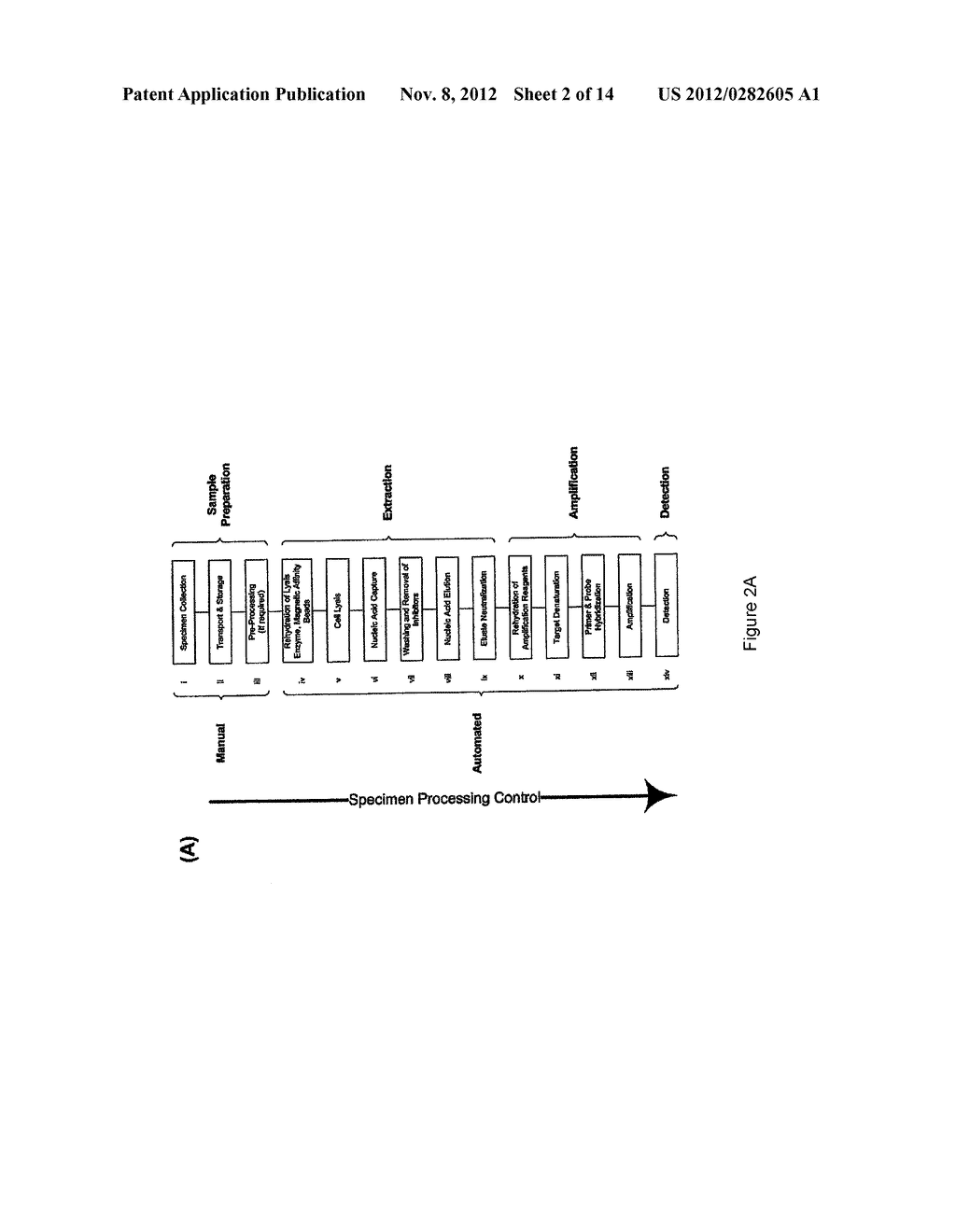 PROCESS CONTROLS FOR MOLECULAR ASSAY - diagram, schematic, and image 03