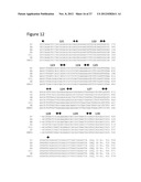 METHODS, KITS AND REACTION MIXTURES FOR ANALYZING SINGLE-STRANDED NUCLEIC     ACID SEQUENCES diagram and image