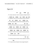 METHODS, KITS AND REACTION MIXTURES FOR ANALYZING SINGLE-STRANDED NUCLEIC     ACID SEQUENCES diagram and image