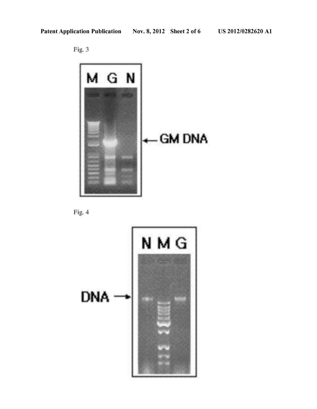 Method of Manufacturing Reference Material Using Plant Cultured Cell Lines - diagram, schematic, and image 03