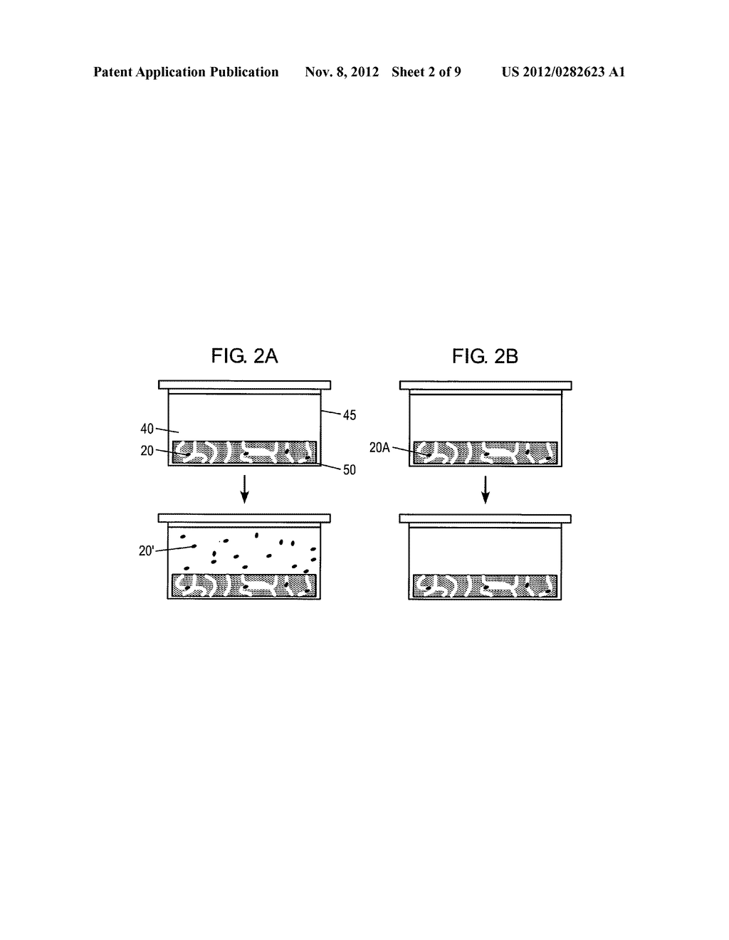 RAPID PATHOGEN DETECTION TECHNIQUES AND APPARATUS - diagram, schematic, and image 03