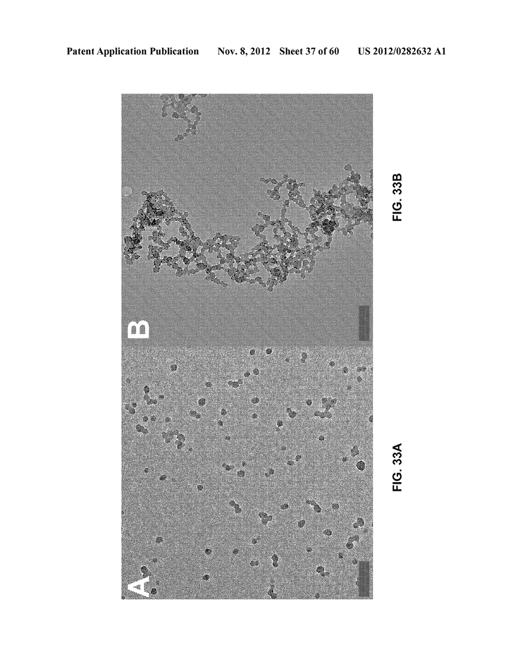 FUNCTIONALIZED CHROMOPHORIC POLYMER DOTS AND BIOCONJUGATES THEREOF - diagram, schematic, and image 38