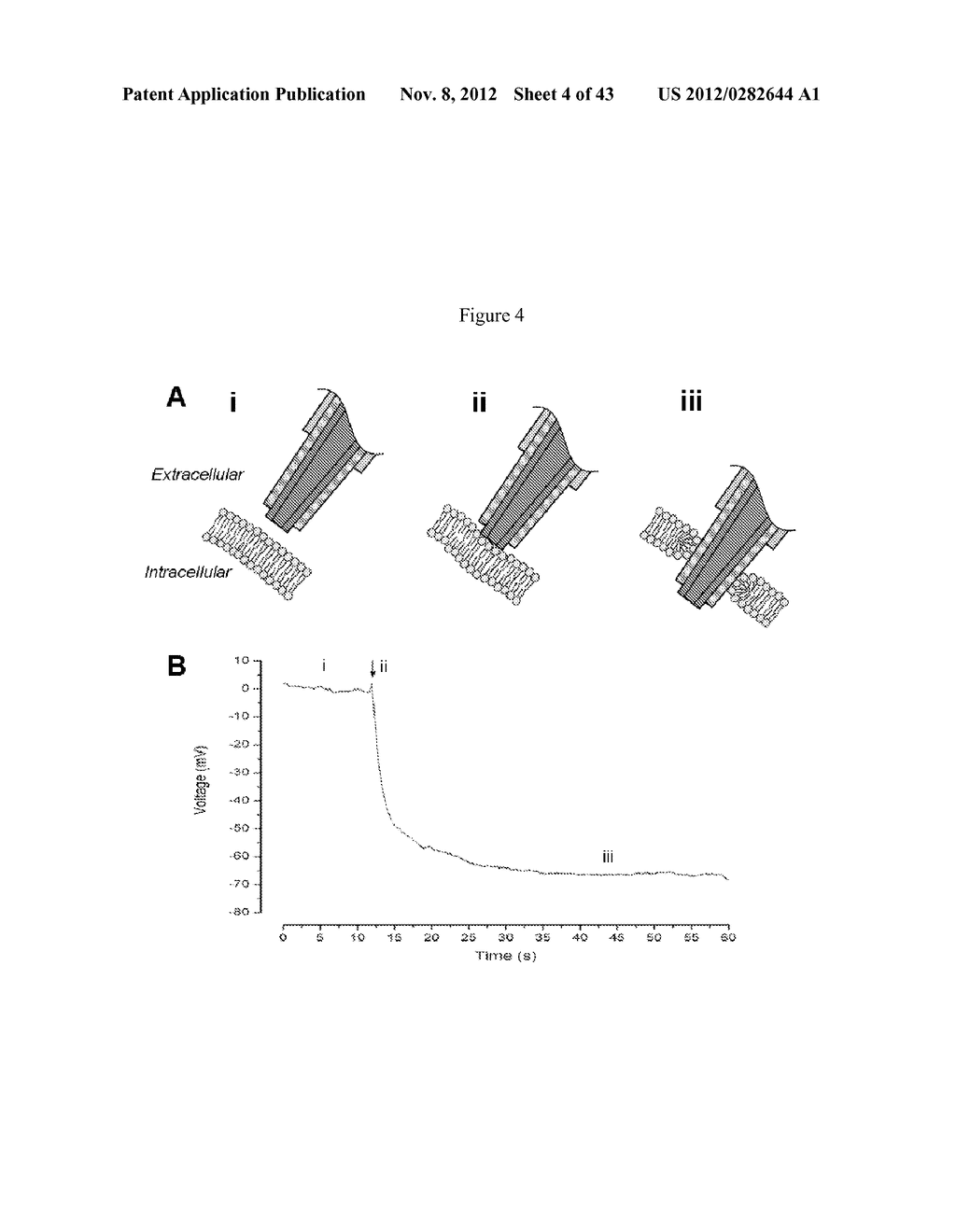 MULTIPLE-ELECTRODE AND METAL-COATED PROBES - diagram, schematic, and image 05