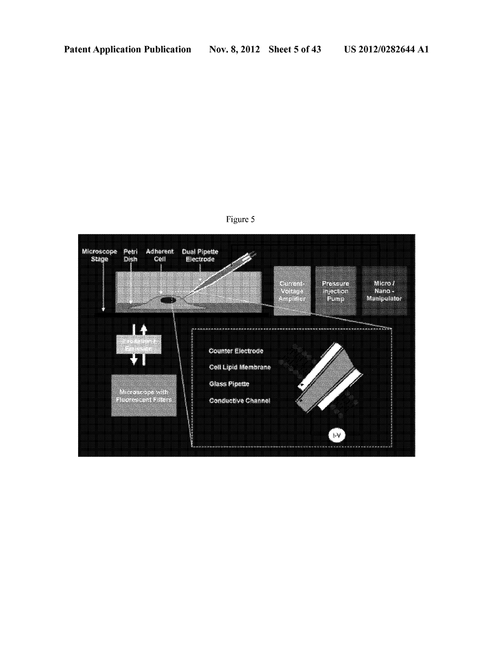 MULTIPLE-ELECTRODE AND METAL-COATED PROBES - diagram, schematic, and image 06