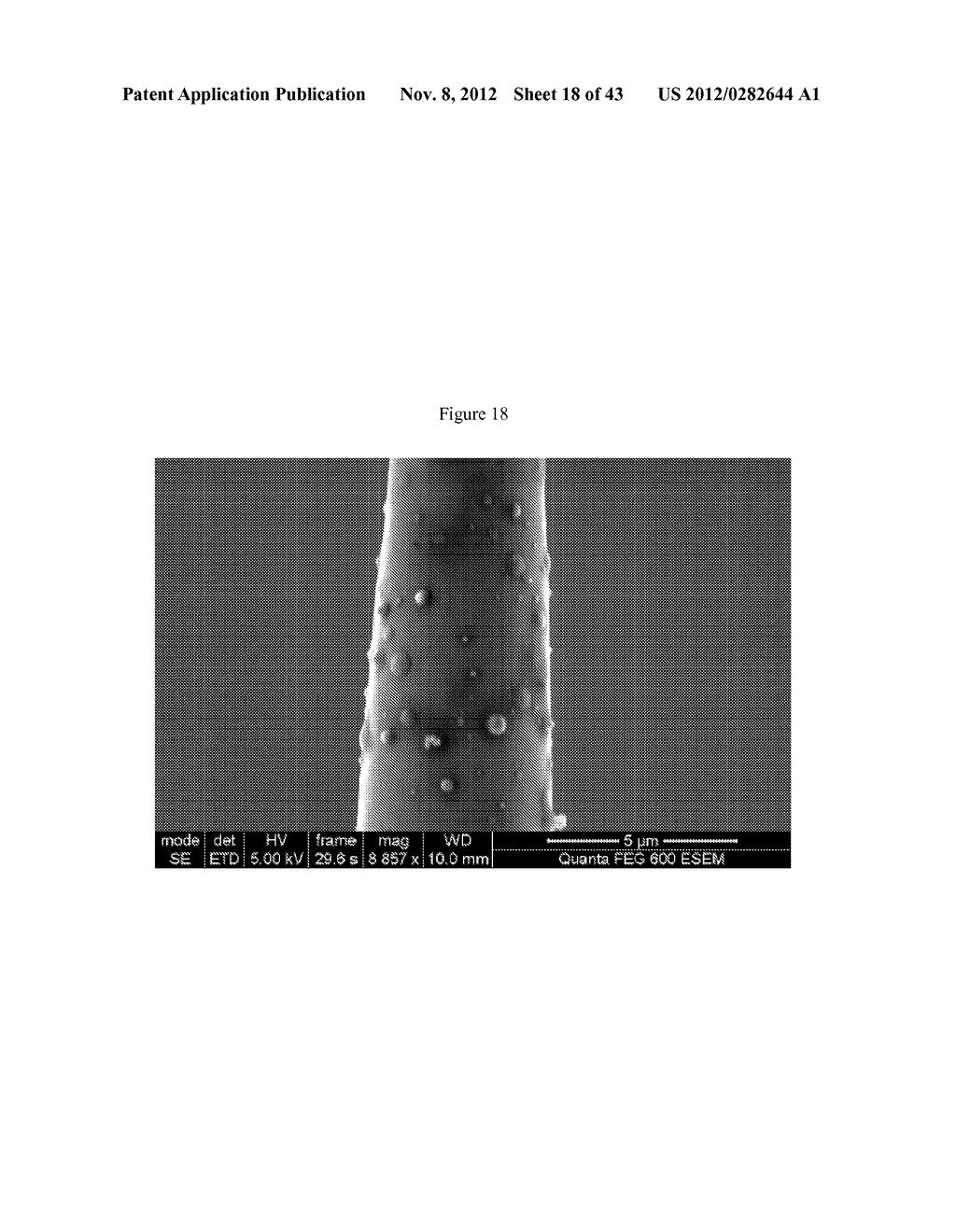 MULTIPLE-ELECTRODE AND METAL-COATED PROBES - diagram, schematic, and image 19