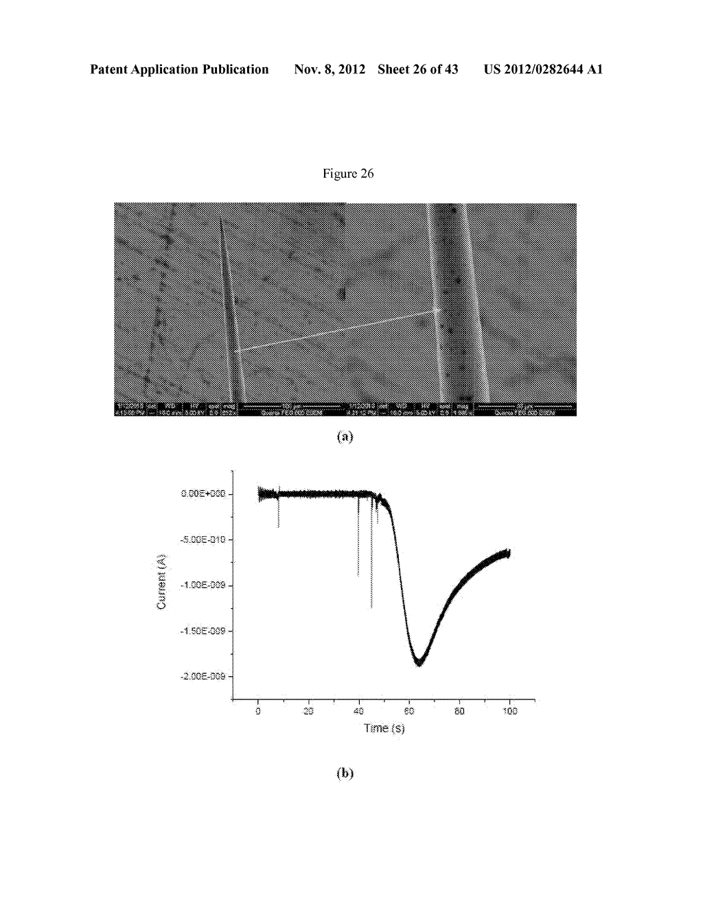 MULTIPLE-ELECTRODE AND METAL-COATED PROBES - diagram, schematic, and image 27