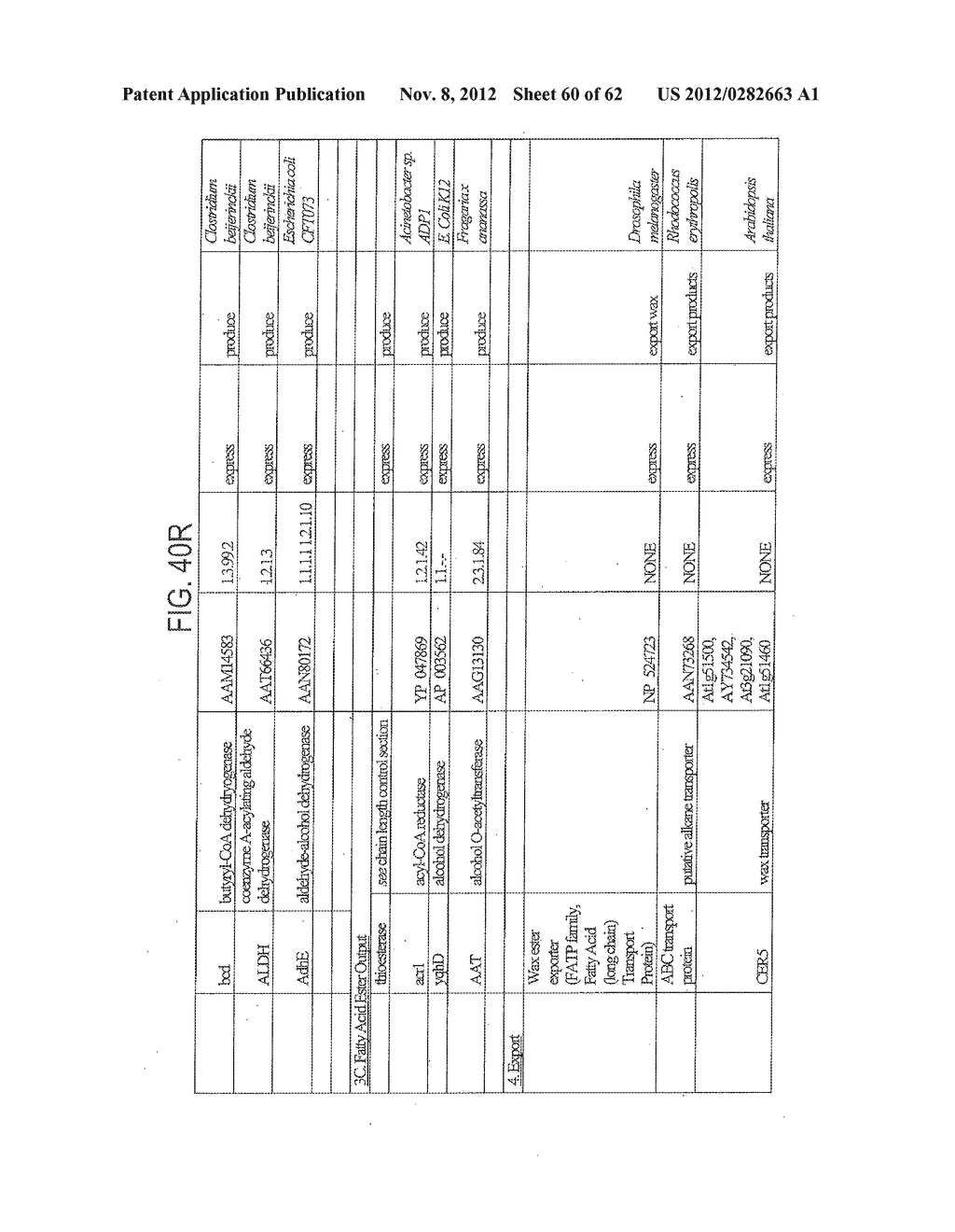 METHODS AND COMPOSITIONS FOR PRODUCING FATTY ALCOHOLS AND FATTY ALDEHYDES - diagram, schematic, and image 61