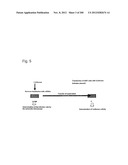 METHOD FOR THE PREPARATION OF AN INFLUENZA VIRUS diagram and image