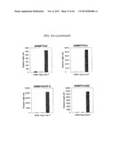 EXPRESSION VECTOR SUITABLE FOR EXPRESSION OF A CODING SEQUENCE FOR GENE     THERAPY diagram and image