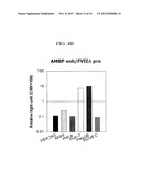 EXPRESSION VECTOR SUITABLE FOR EXPRESSION OF A CODING SEQUENCE FOR GENE     THERAPY diagram and image