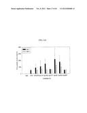 EXPRESSION VECTOR SUITABLE FOR EXPRESSION OF A CODING SEQUENCE FOR GENE     THERAPY diagram and image