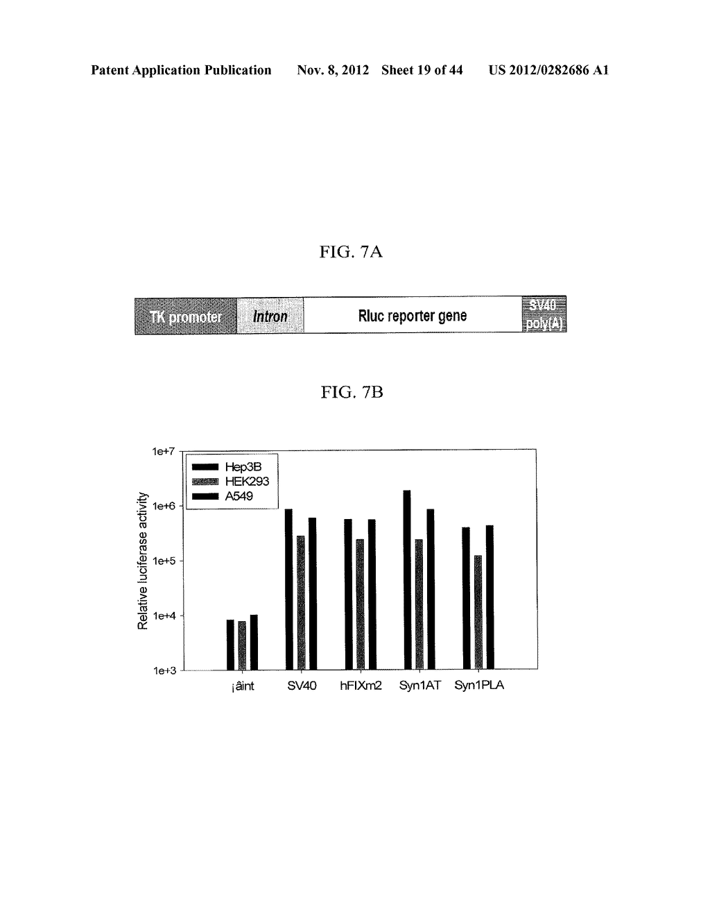 EXPRESSION VECTOR SUITABLE FOR EXPRESSION OF A CODING SEQUENCE FOR GENE     THERAPY - diagram, schematic, and image 20