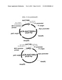 EXPRESSION VECTOR SUITABLE FOR EXPRESSION OF A CODING SEQUENCE FOR GENE     THERAPY diagram and image