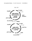 EXPRESSION VECTOR SUITABLE FOR EXPRESSION OF A CODING SEQUENCE FOR GENE     THERAPY diagram and image