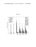 EXPRESSION VECTOR SUITABLE FOR EXPRESSION OF A CODING SEQUENCE FOR GENE     THERAPY diagram and image