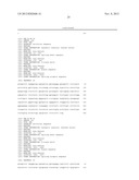 EXPRESSION VECTOR SUITABLE FOR EXPRESSION OF A CODING SEQUENCE FOR GENE     THERAPY diagram and image