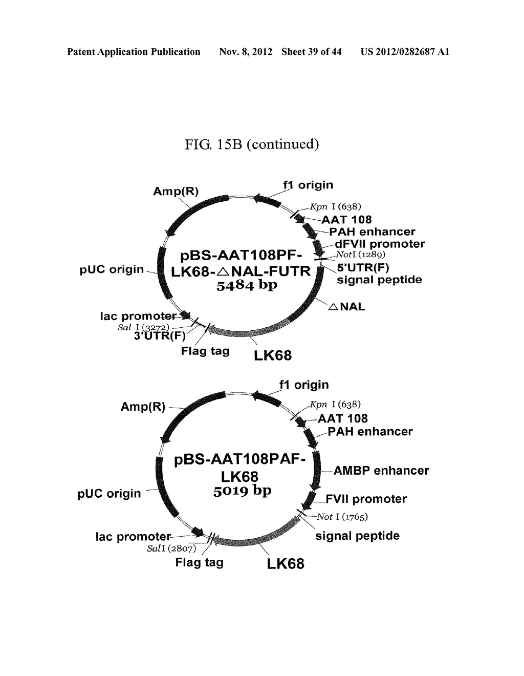 EXPRESSION VECTOR SUITABLE FOR EXPRESSION OF A CODING SEQUENCE FOR GENE     THERAPY - diagram, schematic, and image 40