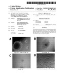 METHOD OF GENERATING NATURAL KILLER CELLS AND DENDRITIC CELLS FROM HUMAN     EMBRYONIC STEM CELL-DERIVED HEMANGIOBLASTS diagram and image