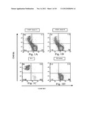 Methods for the Isolation and Expansion of Cord Blood Derived T Regulatory     Cells diagram and image