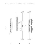 METHOD FOR HOMOLOGOUS RECOMBINATION IN EUKARYOTIC CELLS diagram and image