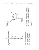 Novel Compounds and Synthesis of Tellurium-Derivatized Oligonucleotides     for Structural and Functional Studies diagram and image