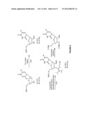 Novel Compounds and Synthesis of Tellurium-Derivatized Oligonucleotides     for Structural and Functional Studies diagram and image