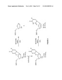 Novel Compounds and Synthesis of Tellurium-Derivatized Oligonucleotides     for Structural and Functional Studies diagram and image