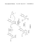 Novel Compounds and Synthesis of Tellurium-Derivatized Oligonucleotides     for Structural and Functional Studies diagram and image