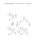 Novel Compounds and Synthesis of Tellurium-Derivatized Oligonucleotides     for Structural and Functional Studies diagram and image