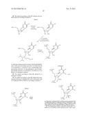 Novel Compounds and Synthesis of Tellurium-Derivatized Oligonucleotides     for Structural and Functional Studies diagram and image