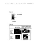 SEMICONDUCTOR DEVICE MANUFACTURING METHOD diagram and image