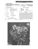 FLOWERING INDUCER diagram and image