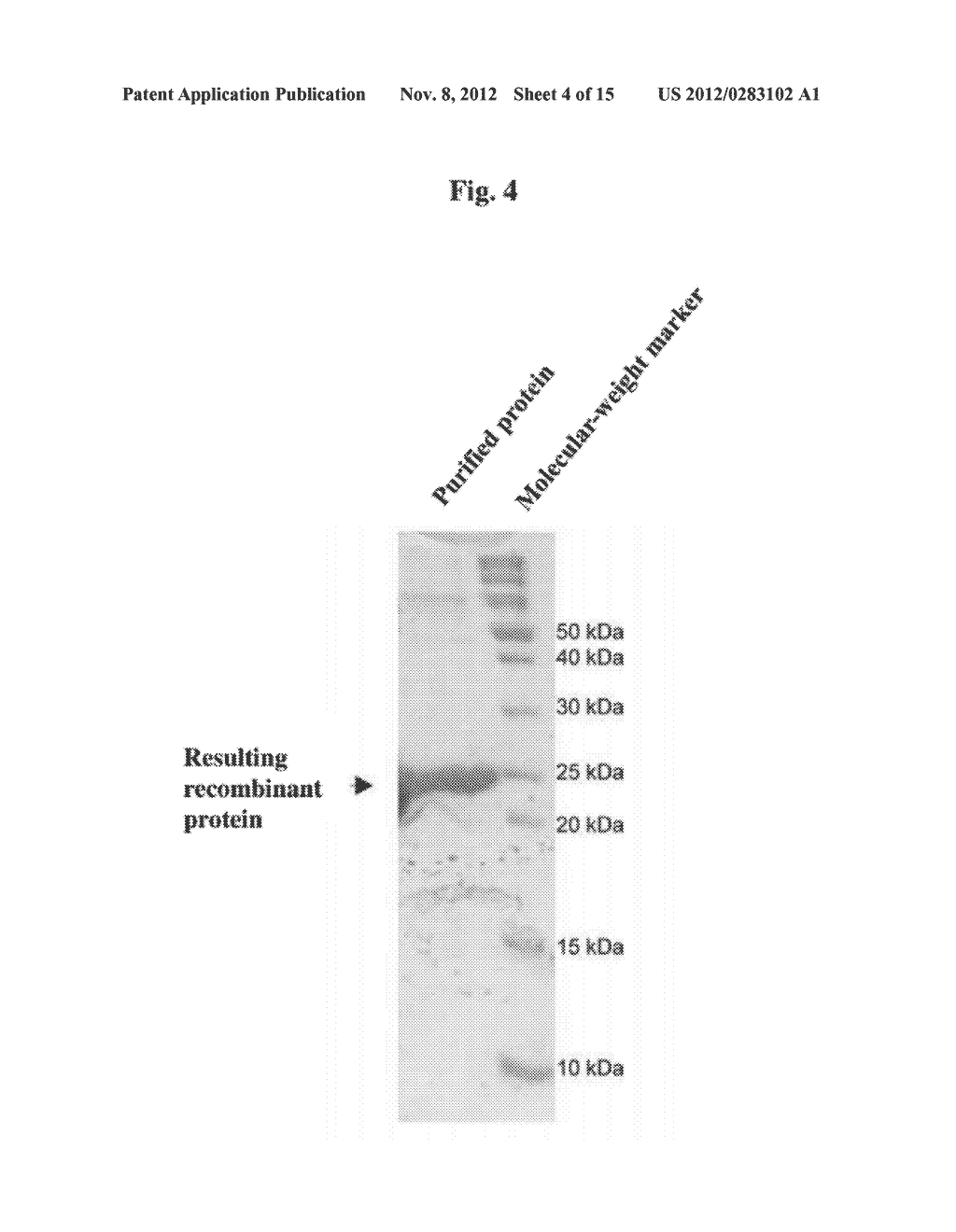 FLOWERING INDUCER - diagram, schematic, and image 05