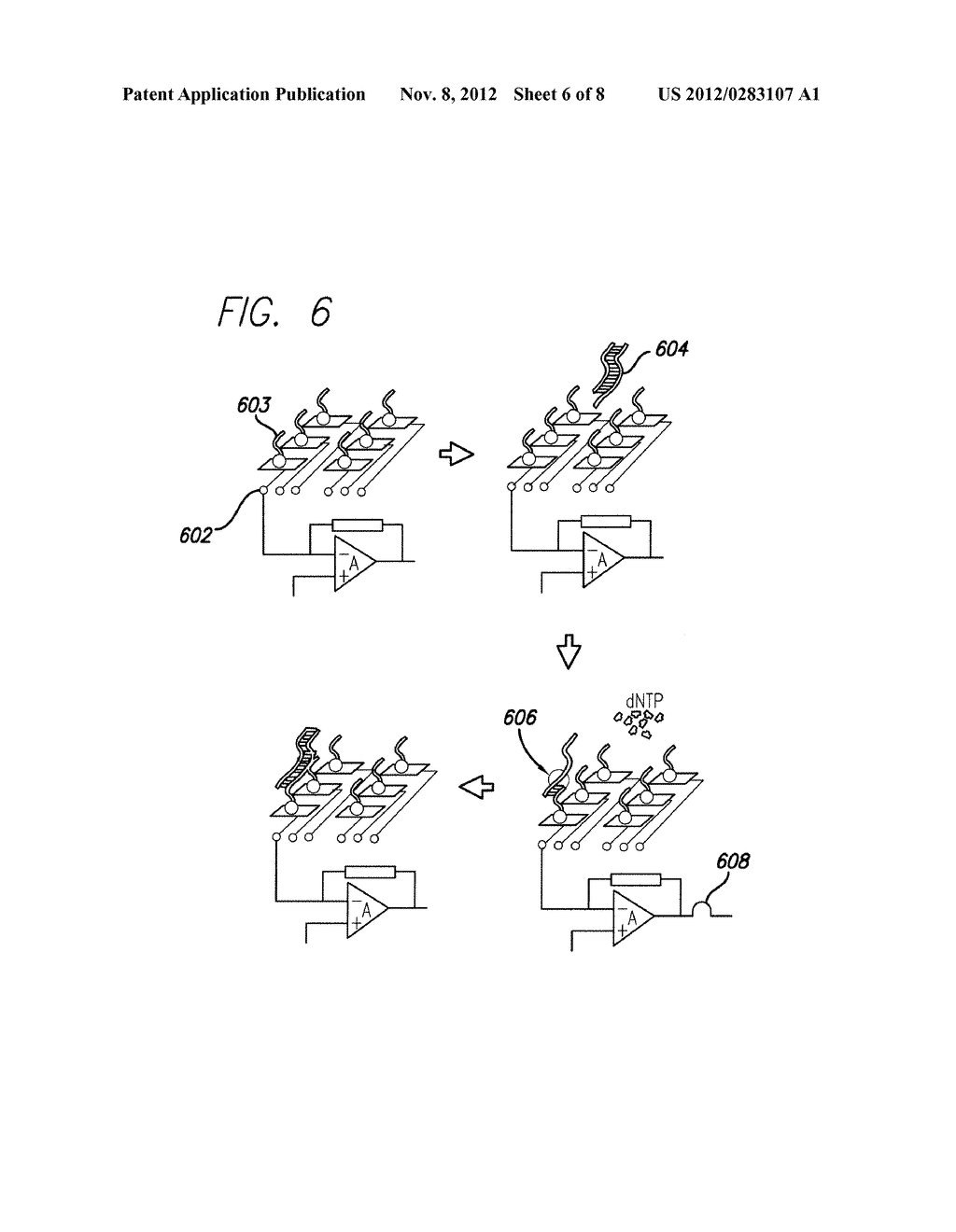 Charge Perturbation Detection Method for DNA and Other Molecules - diagram, schematic, and image 07