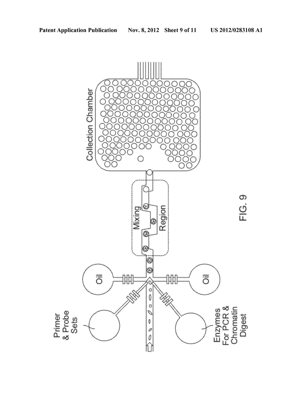 METHOD FOR PHASED GENOTYPING OF A DIPLOID GENOME - diagram, schematic, and image 10