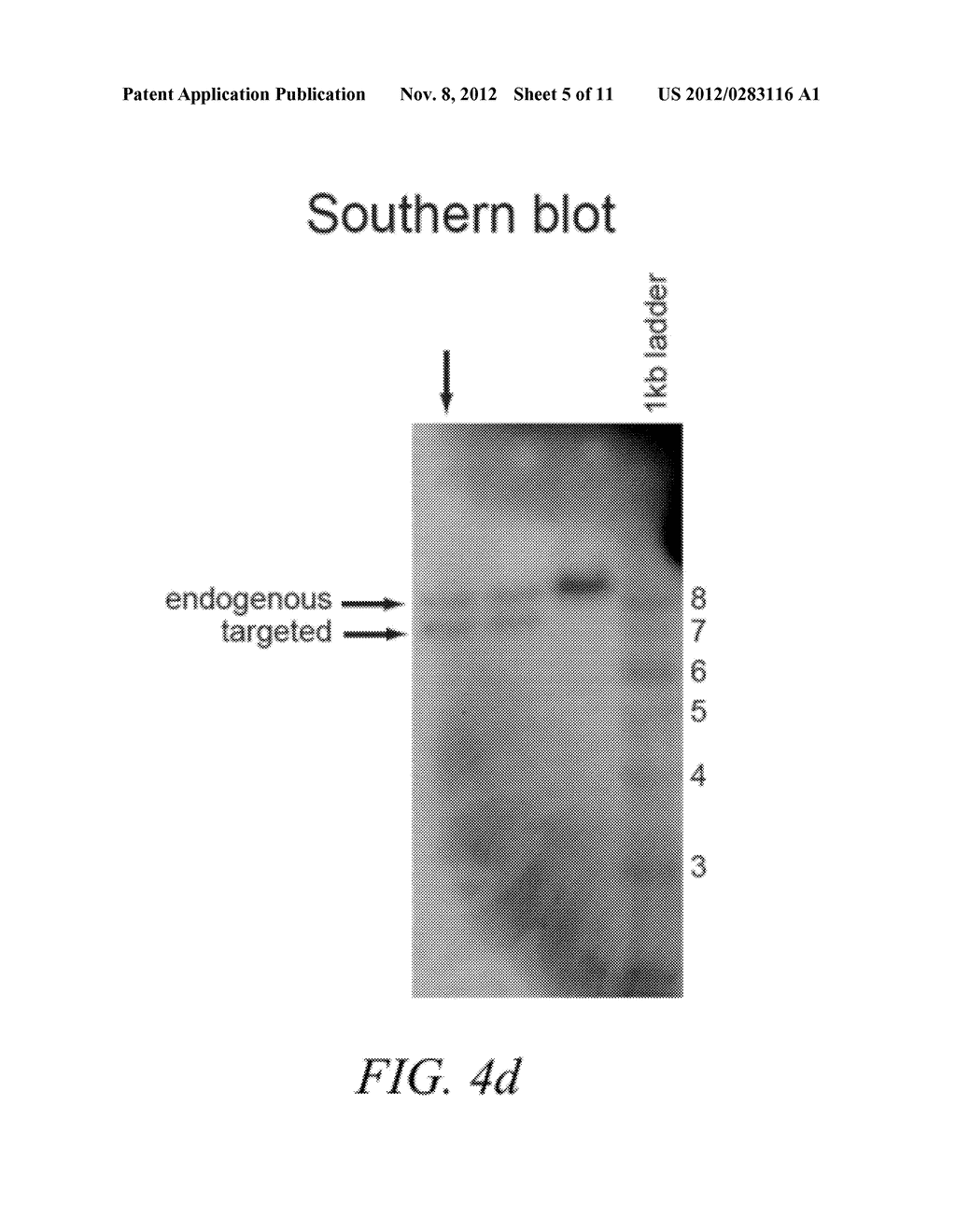 Mutant Sodium Channel Nav1.7 and Methods Related Thereto - diagram, schematic, and image 06