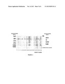 METHODS FOR DETECTING MYCOBACTERIUM TUBERCULOSIS ANTIGENS diagram and image