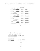 MOLECULAR IN VITRO DIAGNOSIS OF BREAST CANCER diagram and image