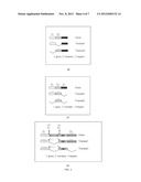 MOLECULAR IN VITRO DIAGNOSIS OF BREAST CANCER diagram and image