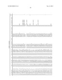 MOLECULAR IN VITRO DIAGNOSIS OF BREAST CANCER diagram and image